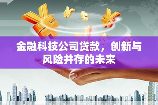 乌审旗金融科技公司贷款，创新与风险并存的未来