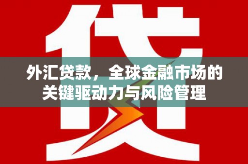 乌审旗外汇贷款，全球金融市场的关键驱动力与风险管理
