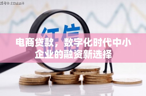 乌审旗电商贷款，数字化时代中小企业的融资新选择