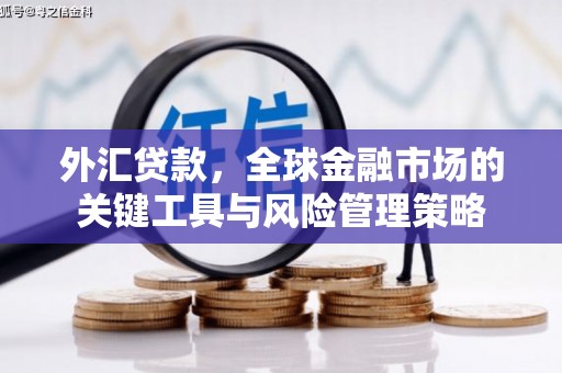 乌审旗外汇贷款，全球金融市场的关键工具与风险管理策略