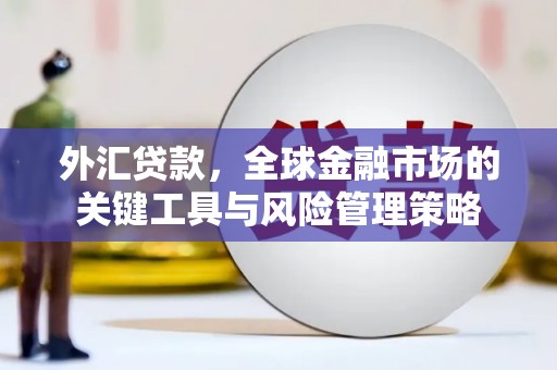 乌审旗外汇贷款，全球金融市场的关键工具与风险管理策略