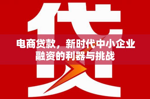 乌审旗电商贷款，新时代中小企业融资的利器与挑战