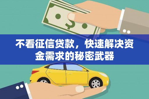 乌审旗不看征信贷款，快速解决资金需求的秘密武器