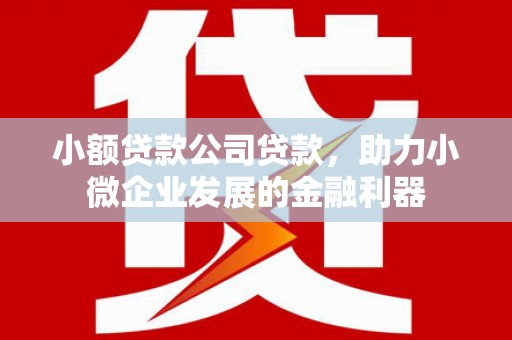乌审旗小额贷款公司贷款，助力小微企业发展的金融利器