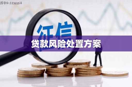 乌审旗贷款风险处置方案