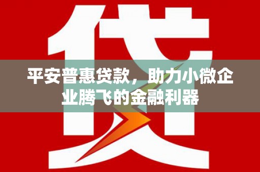 乌审旗平安普惠贷款，助力小微企业腾飞的金融利器