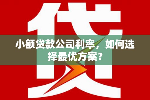 乌审旗小额贷款公司利率，如何选择最优方案？
