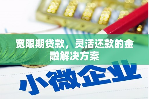 乌审旗宽限期贷款，灵活还款的金融解决方案