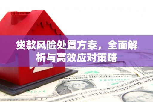 乌审旗贷款风险处置方案，全面解析与高效应对策略