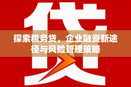 乌审旗探索税务贷，企业融资新途径与风险管理策略