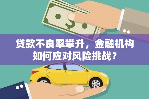 乌审旗贷款不良率攀升，金融机构如何应对风险挑战？