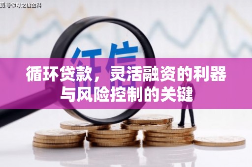 乌审旗循环贷款，灵活融资的利器与风险控制的关键