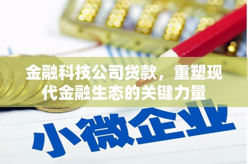 乌审旗金融科技公司贷款，重塑现代金融生态的关键力量