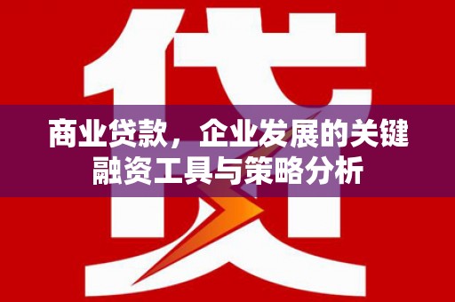 乌审旗商业贷款，企业发展的关键融资工具与策略分析