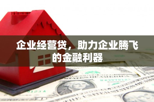 乌审旗企业经营贷，助力企业腾飞的金融利器