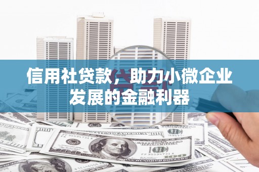 乌审旗信用社贷款，助力小微企业发展的金融利器